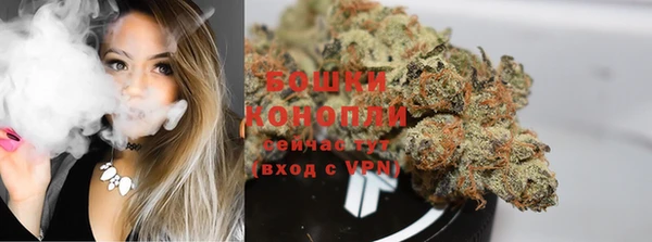 ГАЛЛЮЦИНОГЕННЫЕ ГРИБЫ Алзамай