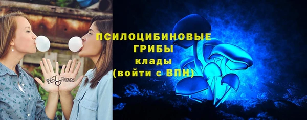 ГАЛЛЮЦИНОГЕННЫЕ ГРИБЫ Алзамай
