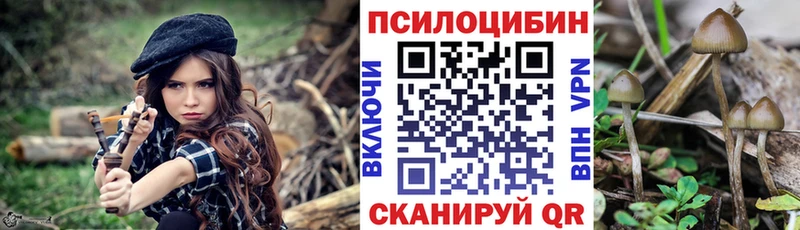 кракен зеркало  где купить наркотик  даркнет формула  Галлюциногенные грибы мицелий  Новоалтайск 